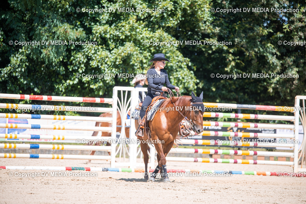 ZS1_1134 | dv-media-shop - Realisiert mit Pictrs.com