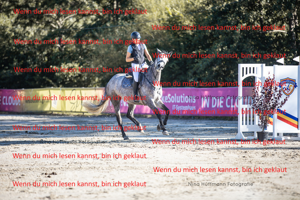 BK1A7515 | Turnierbilder Turnierfotos Nina Hüffmann Turnierfotografie Pferdefotografie Tierzeichnung Haustierzeichnung Pferdezeichnung Hundezeichnung Videograf  - Realisiert mit Pictrs.com