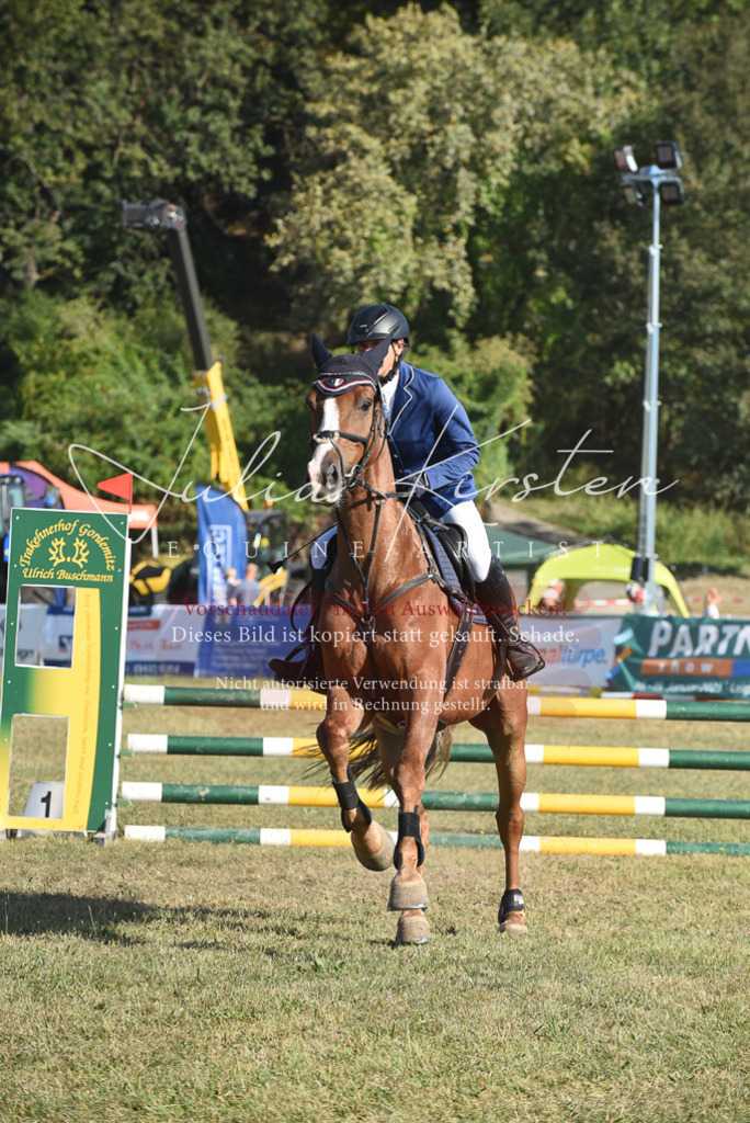 DSC_5328 | Pferde- und Turnierfotografie in Westsachsen. Pferdeportraits, Auftragszeichnungen und intuitive Kunst.