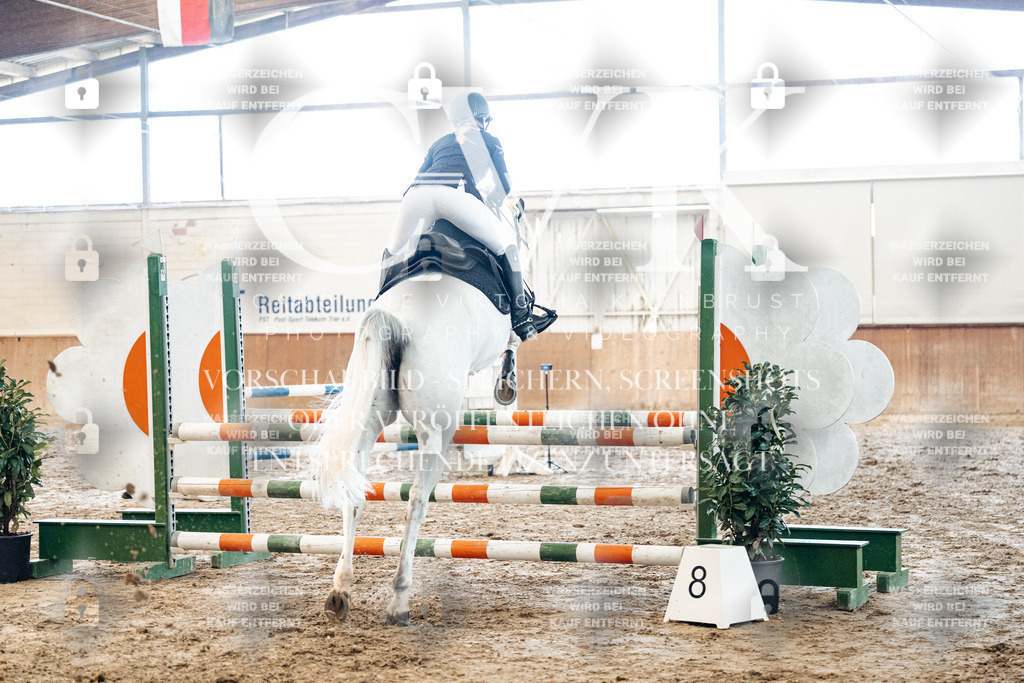 CK904623 | Turnierfotografie Pferdefotografie Trier Rheinland-Pfalz Pferdesport Reitsport Tierfotografie Sportfotografie Pferdevideo Pferdevideografie Equestrianvideography equestrianphotography  - Realisiert mit Pictrs.com