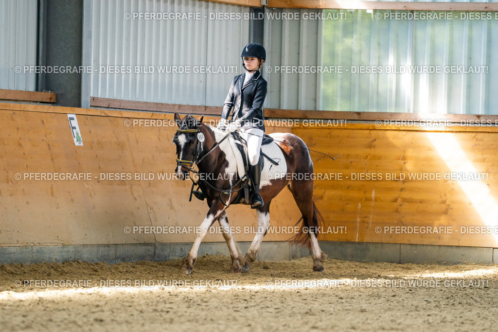 DSC03155 | Pferdegrafie