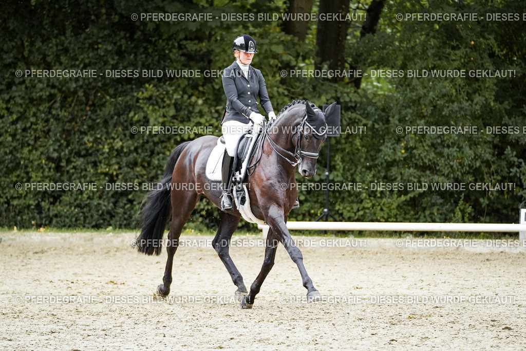 DSC01446 | Pferdegrafie