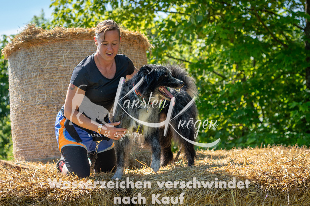 1037STR_5550 | kk-dogfotos