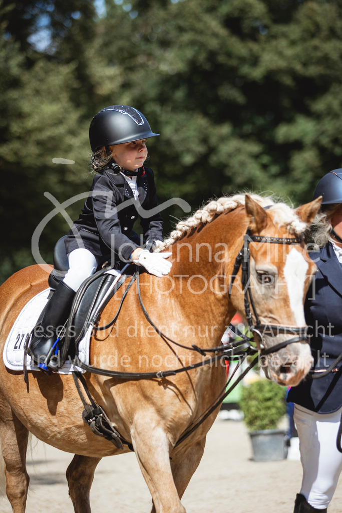 240915_OWLCh_FuehrzuegelWB-697 | Deine schönsten Turniermomente als professionelle Fotos! Entdecke hochwertige Pferdesport-Fotografie im Online-Shop. Jetzt Fotos finden & bestellen!