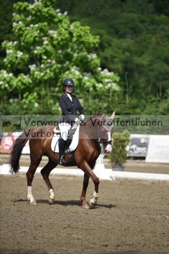 DSC_9679 | equestrian-live-com