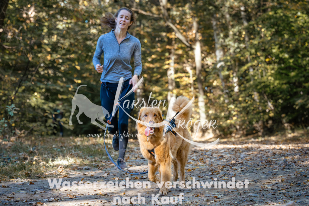 1143_ZZ93314 | kk-dogfotos