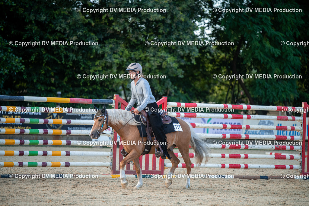 EWP_7287 | dv-media-shop - Realisiert mit Pictrs.com