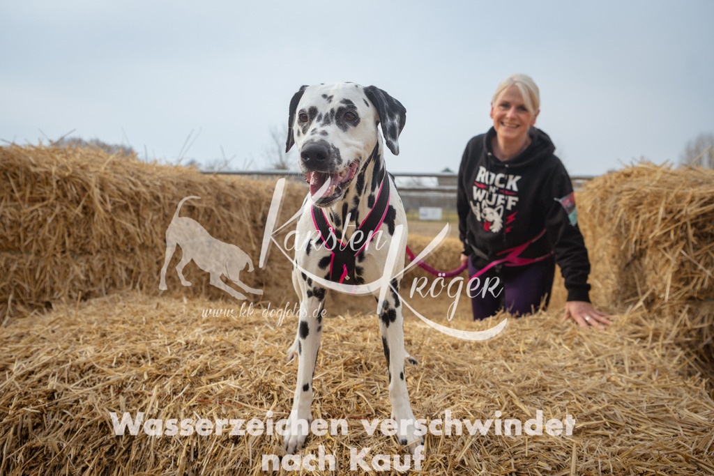 1007_ZZ92383 | kk-dogfotos
