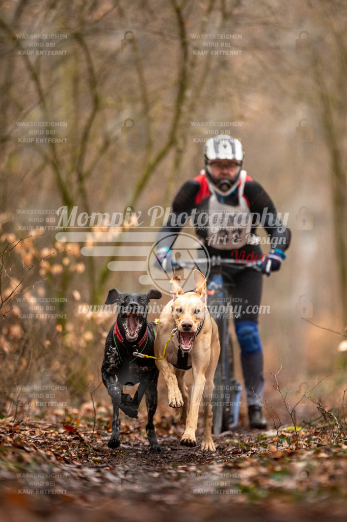 Reiat2023_SON_DS2_5km_2H-3 | mompixphotography