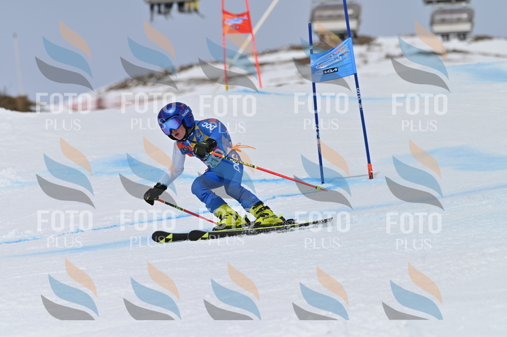 BGV_4285 | holidayphoto