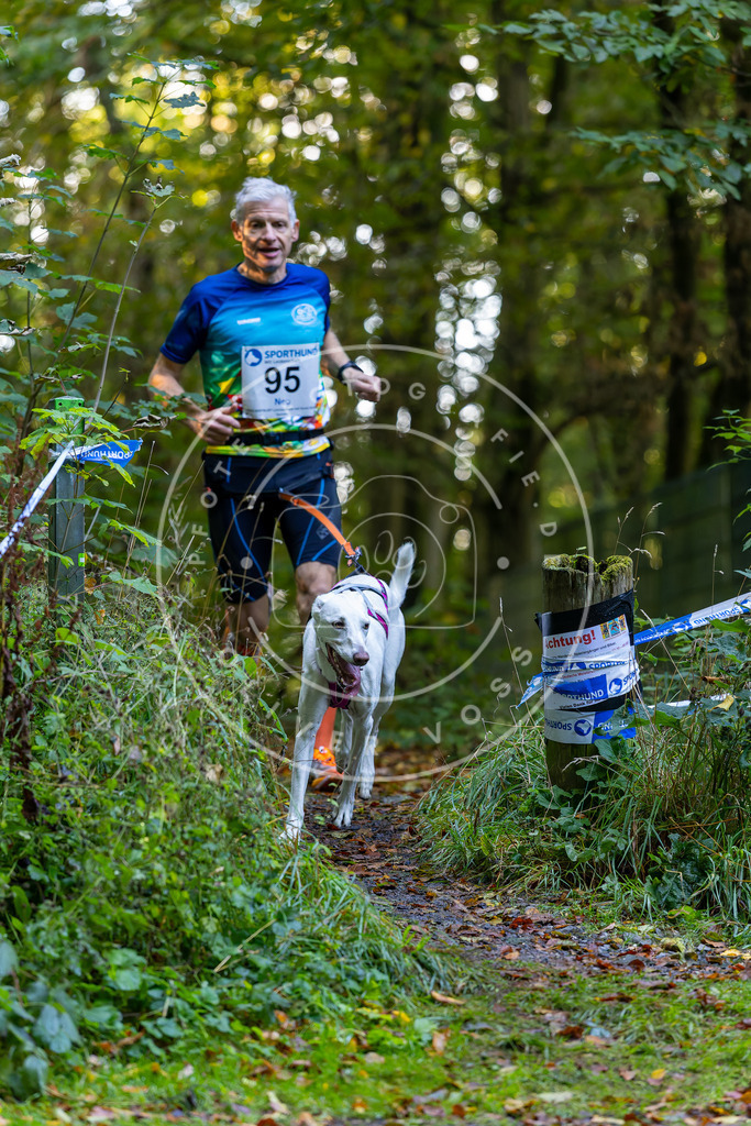 Pfotenfotografie_DV3A7789 | Hundefotografie, Tierfotograf, Pfotenfotografie, Fotoshooting Hund, Hunde Portrait, Hundesport, Hundeportraits, Heideshooting, Hunde, Sportfotograf, Hundefotograf, Turnierhundsport, THS,  - Realisiert mit Pictrs.com