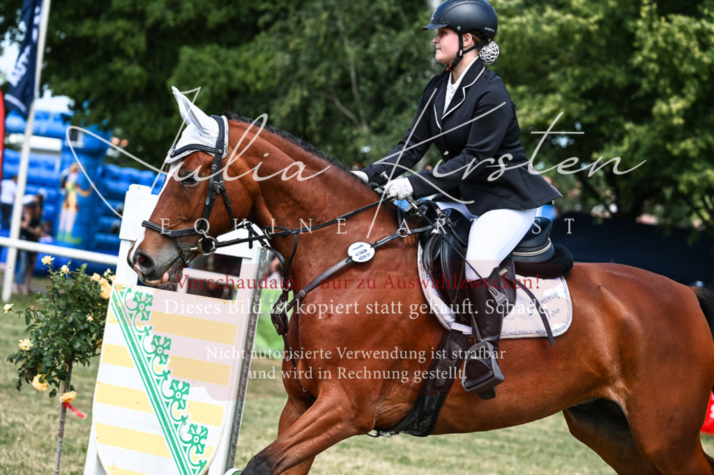 DSC_9848 | Pferde- und Turnierfotografie in Westsachsen. Pferdeportraits, Auftragszeichnungen und intuitive Kunst.
