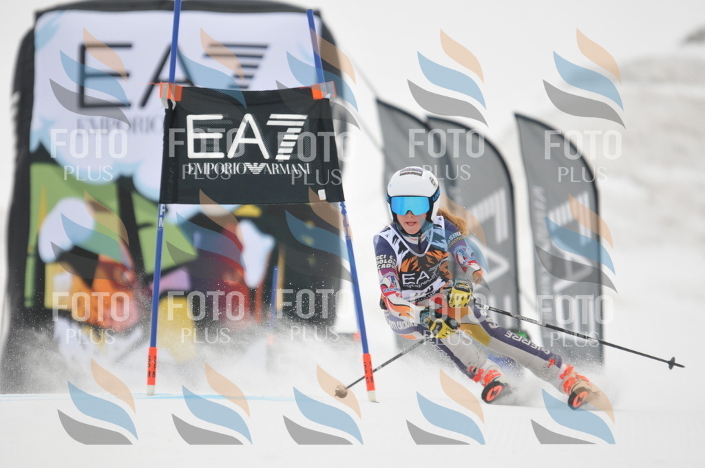 DSC_7656 | holidayphoto