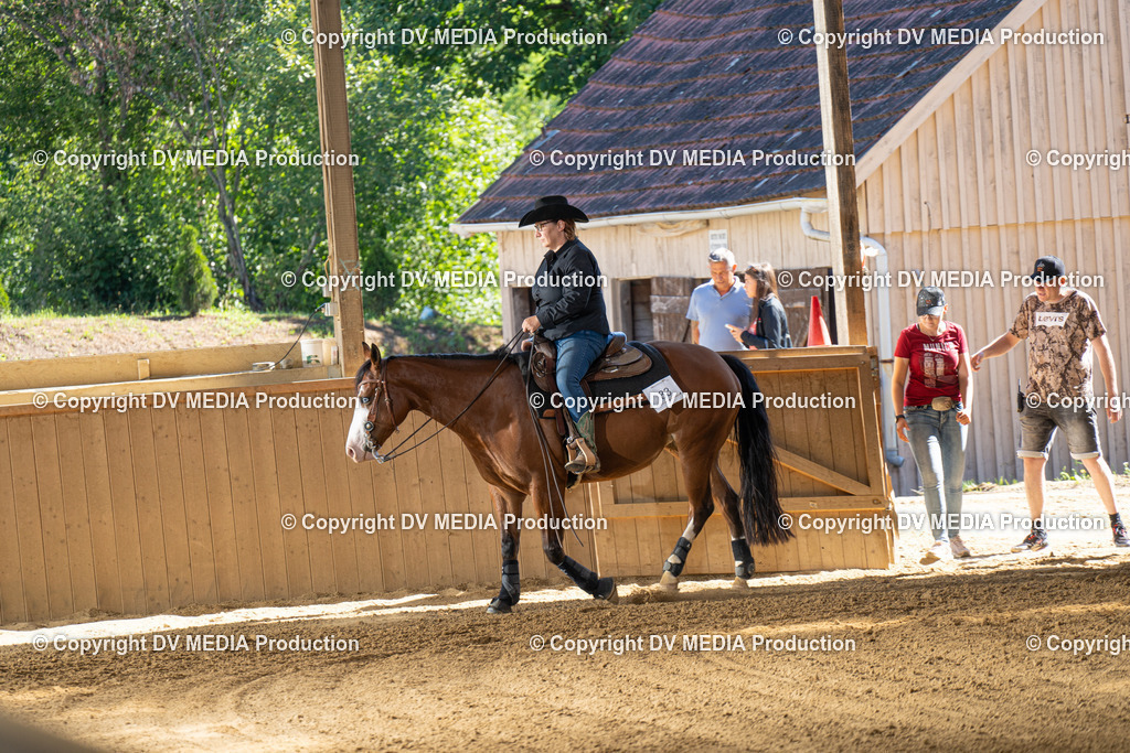 DSC00005 | dv-media-shop - Realisiert mit Pictrs.com