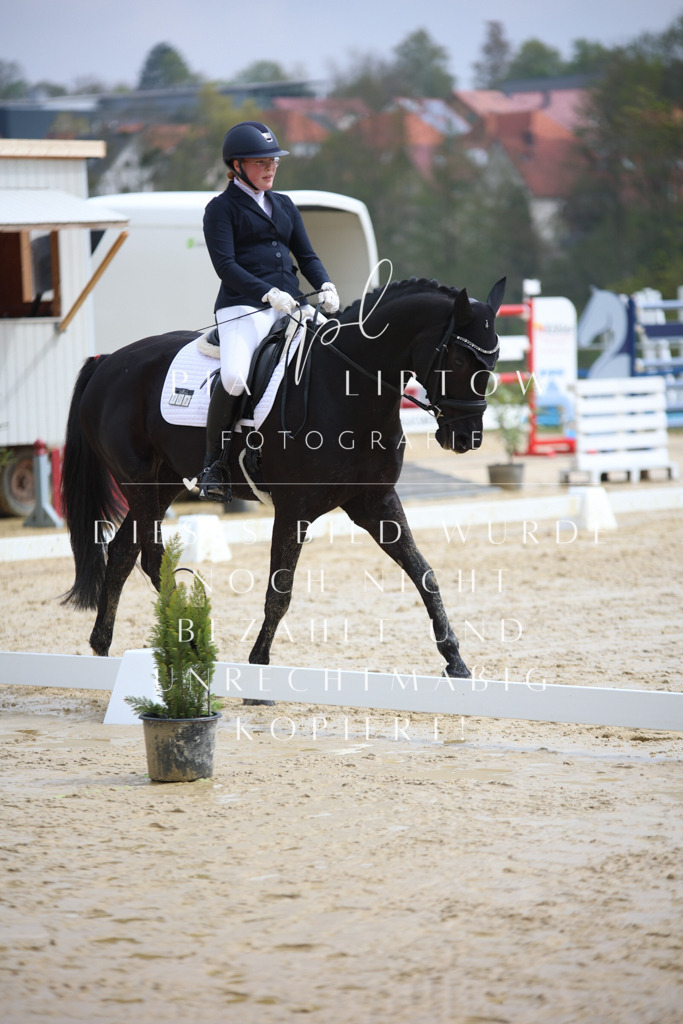 IMGT3085 | pl-fotografie