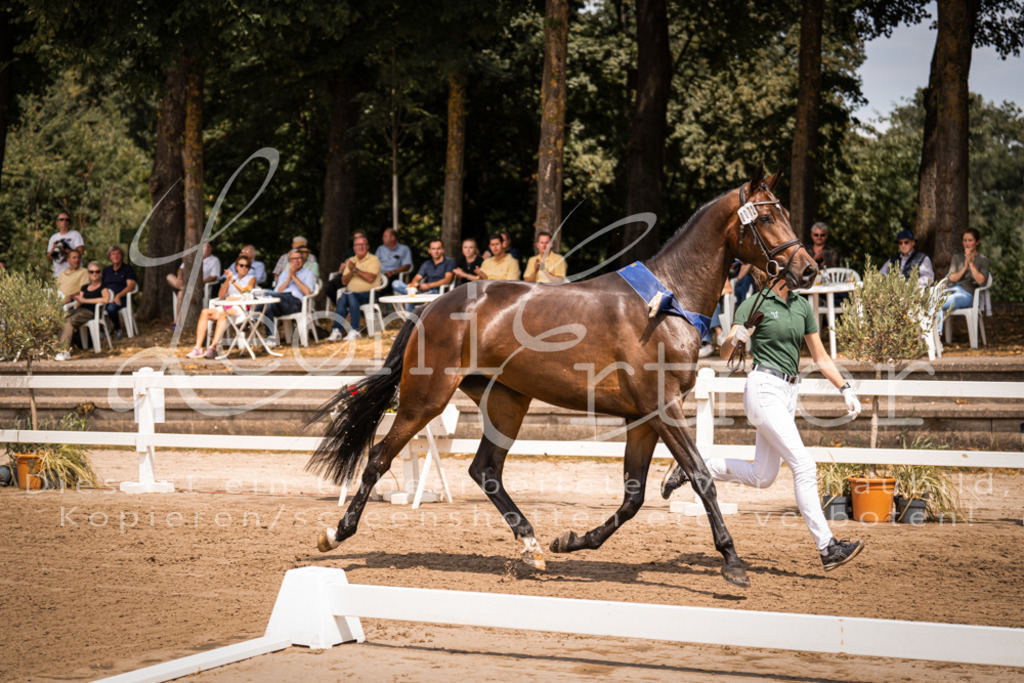 1.Fr00196 | Leoni Ertmer Photography - Realisiert mit Pictrs.com