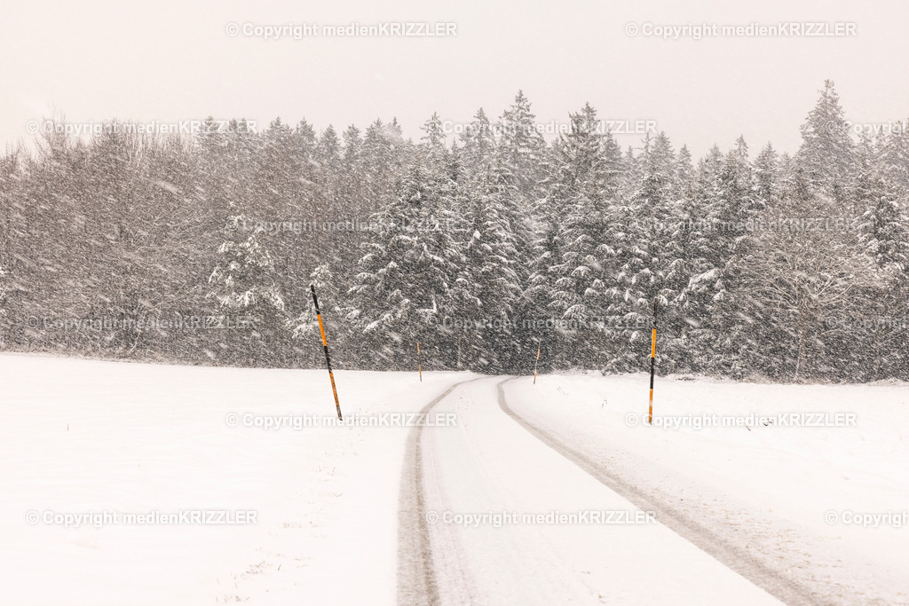 _J3A9565 | medienkrizzler - Realisiert mit Pictrs.com