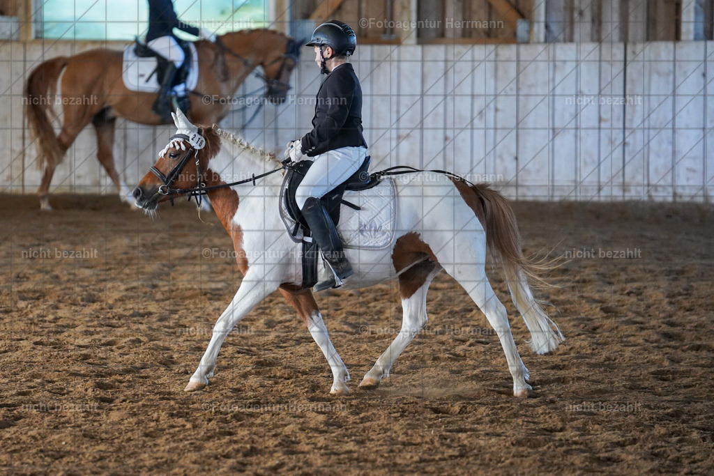 20230916-FAH08593 | Landsberg am Lech 2023, Turnierbildern, Turnierbilder Bayern, Reitsportfotograf, Pferdefotograf Bayern, Turnierfotos Landsberg, Fotoagentur Herrmann, Turnierfotografen Bayern