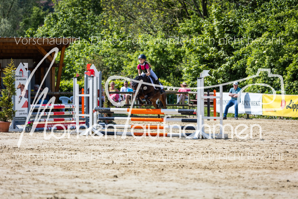 Donop24-ESpr-068 | MomenTaufnahmen Pferdesportfotos