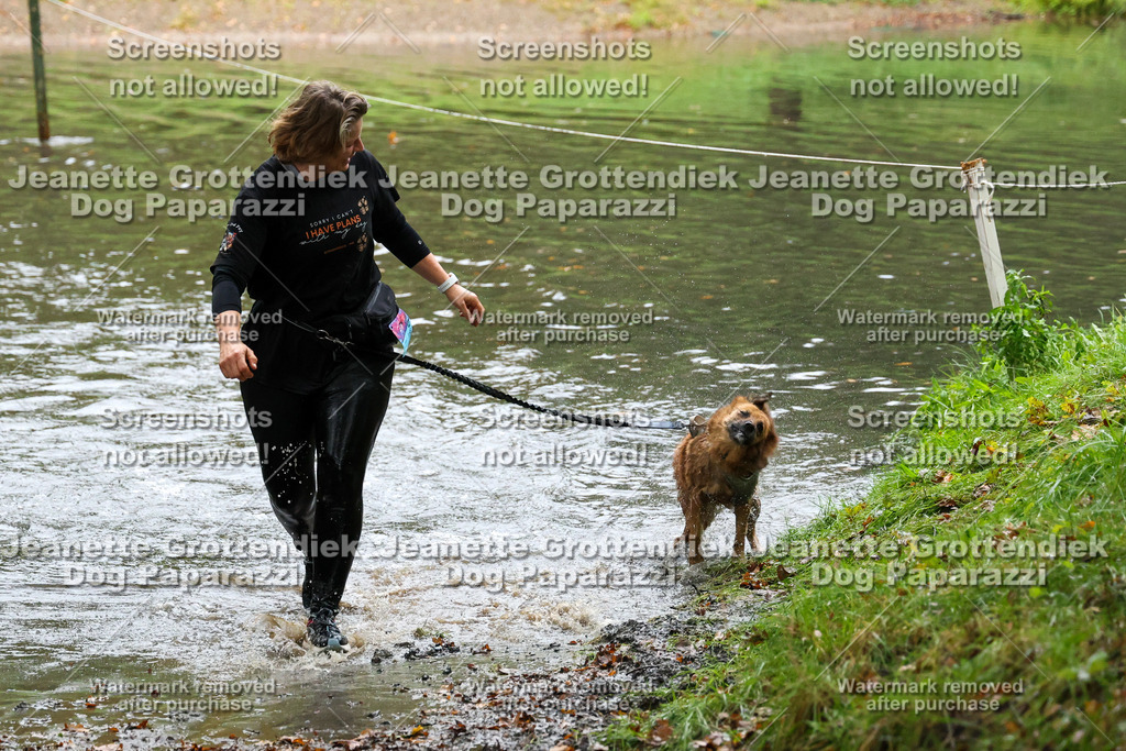 Dog Paparazzi -  SD1026-8261 | Dog Paparazzi Jeanette Grottendiek Fotografie & Videografie - Realisiert mit Pictrs.com