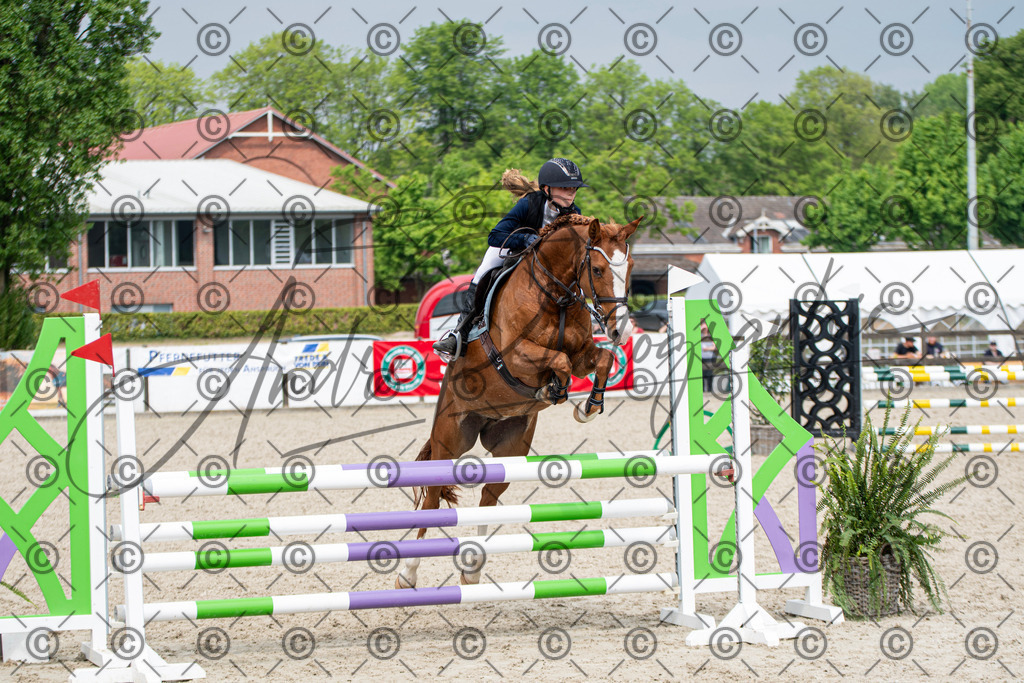 KPT_2946 | andre_photographic