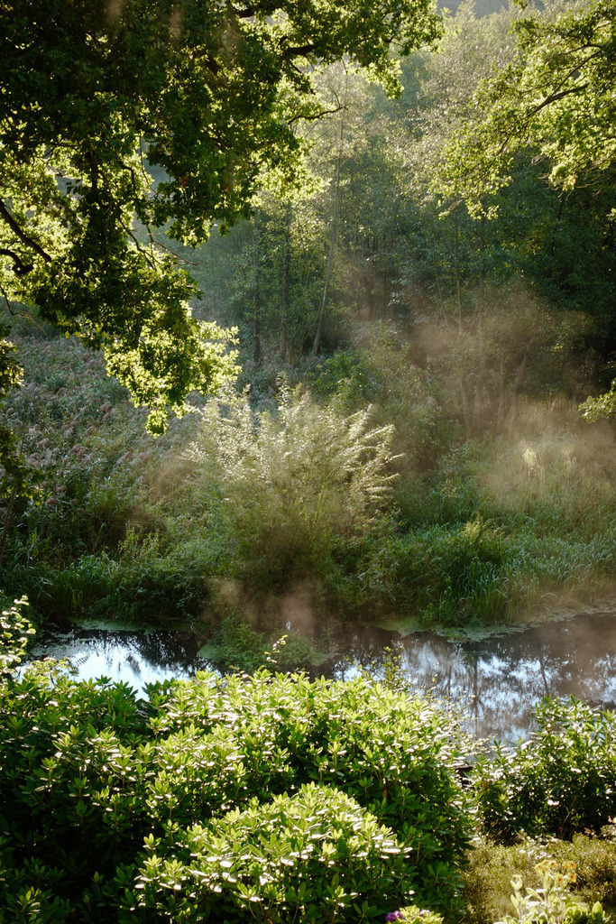 DSC00157 | AHORN PHOTOGRAPHY - Realisiert mit Pictrs.com