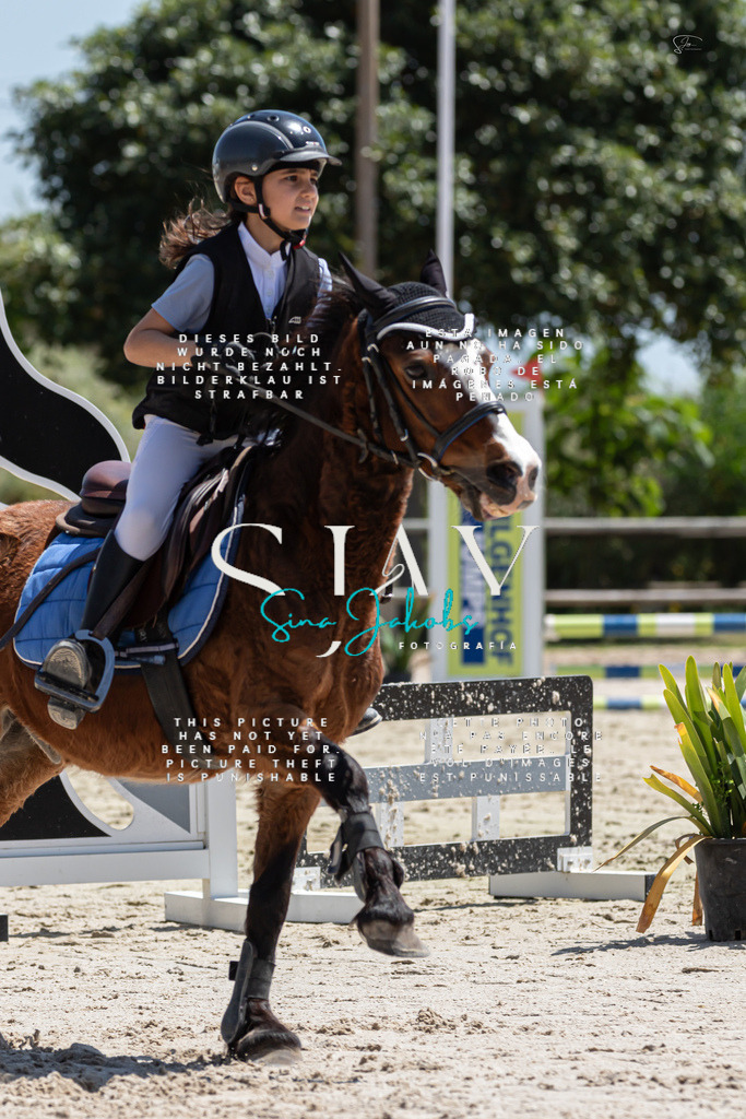 IMG_0231 | s-jay-photography - Realisiert mit Pictrs.com