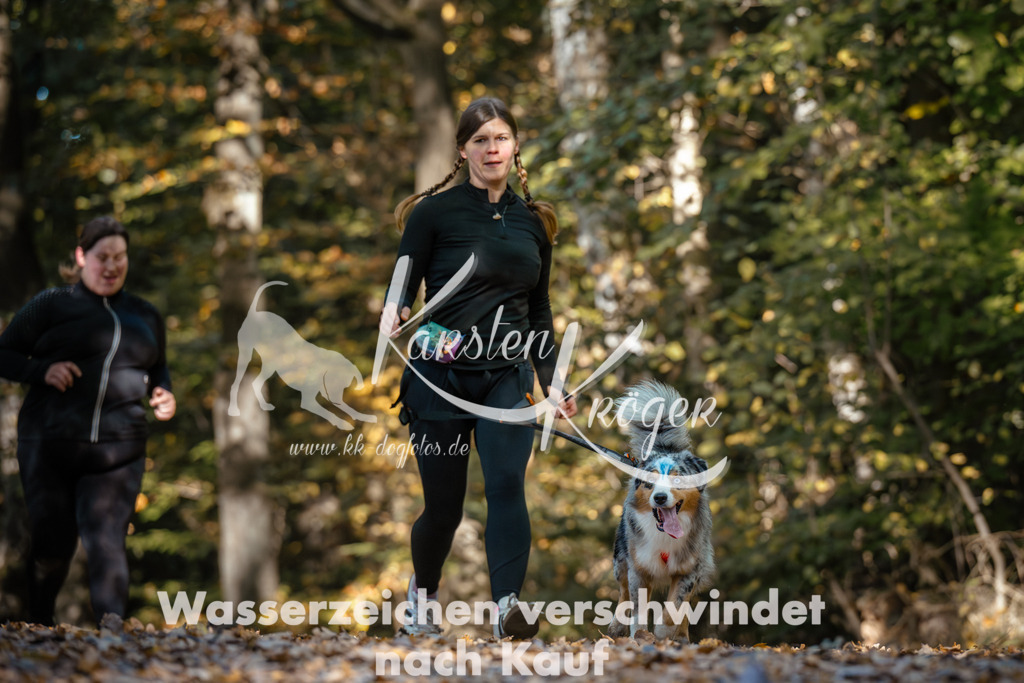 1118_ZZ91940 | kk-dogfotos