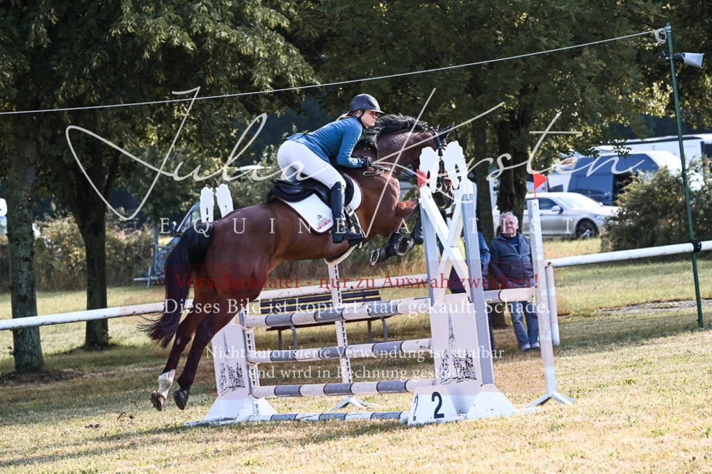 DSC_7557 | Pferde- und Turnierfotografie in Westsachsen. Pferdeportraits, Auftragszeichnungen und intuitive Kunst.