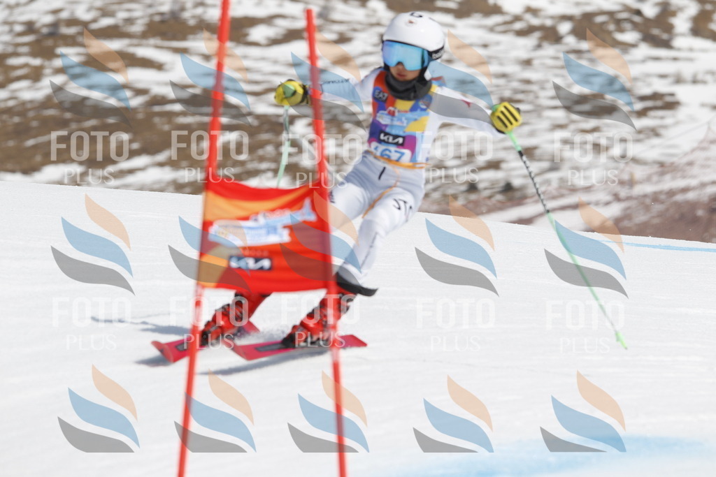 _U3G1490 | holidayphoto