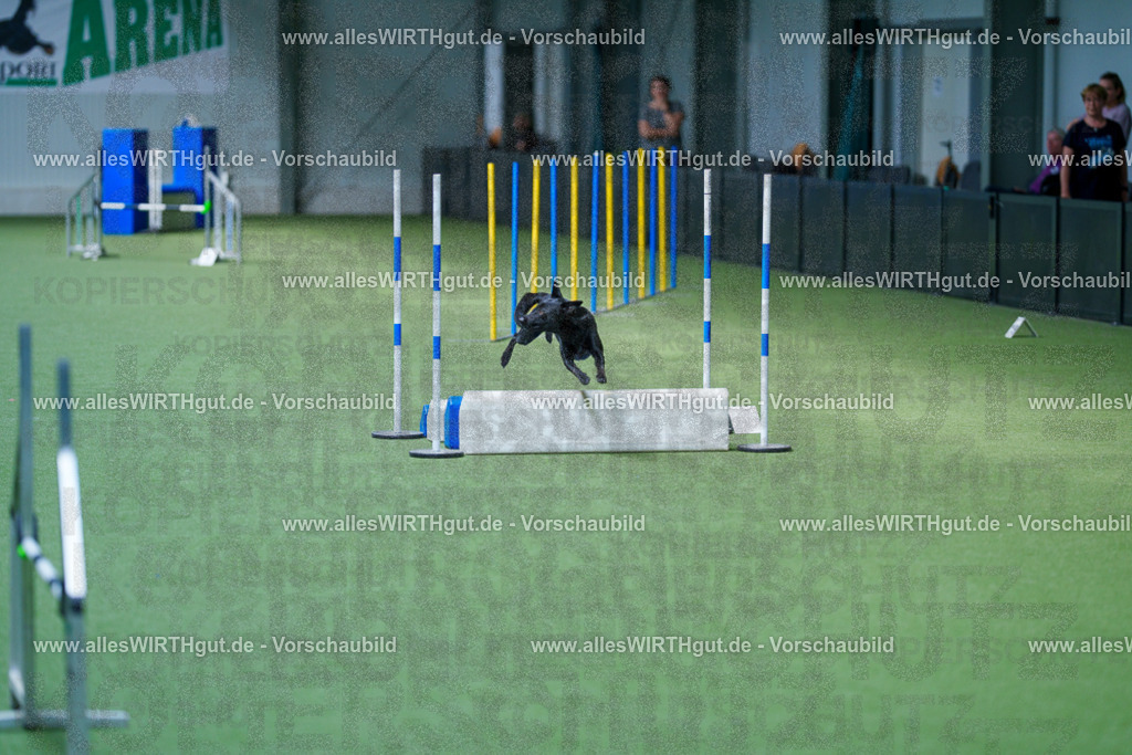 @allesWIRTHgut_Tierfotografie - www.allesWIRTHgut.de - 2604261352-7R502861 | Professionelle Tierfotografie in Mönchengladbach von Daniel Wirth (allesWIRTHgut). Liebevolle & natürliche Bilder von Hunden & Katzen für unvergessliche Erinnerungen.