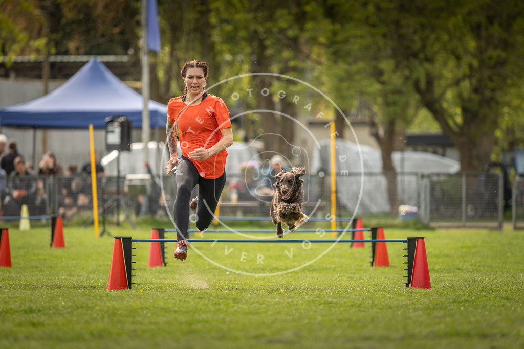 Pfotenfotografie_DV3A6160 | Hundefotografie, Tierfotograf, Pfotenfotografie, Fotoshooting Hund, Hunde Portrait, Hundesport, Hundeportraits, Heideshooting, Hunde, Sportfotograf, Hundefotograf, Turnierhundsport, THS,  - Realisiert mit Pictrs.com