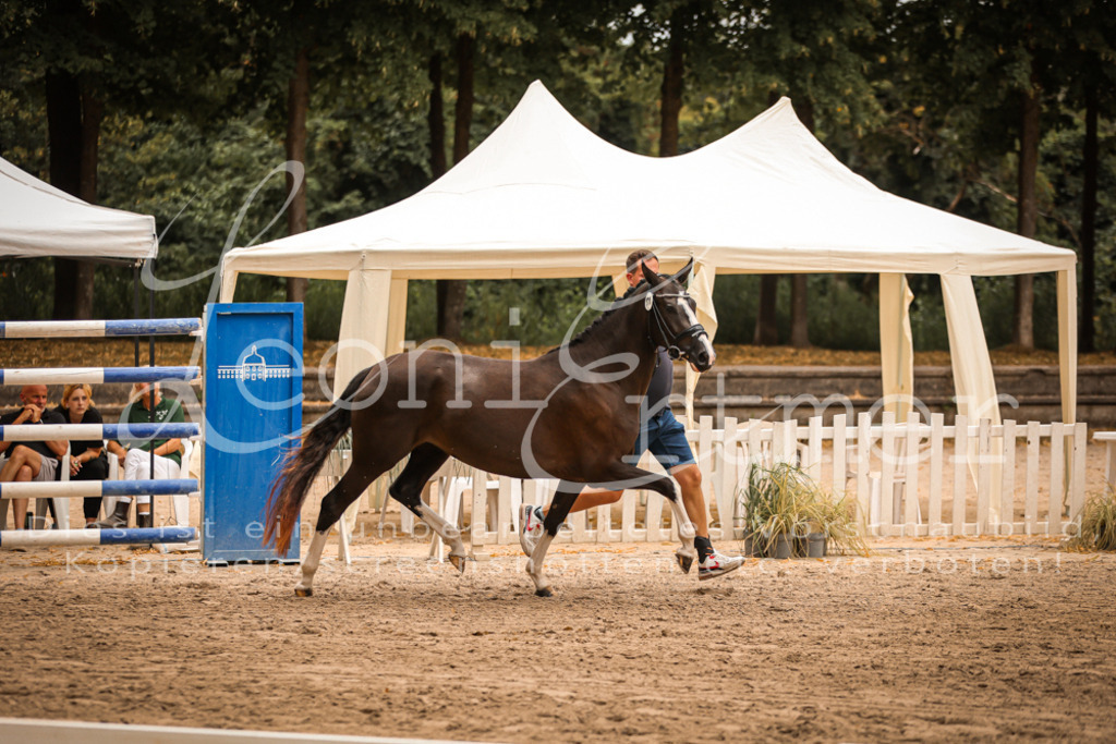 10.-12.Elite00096 | Leoni Ertmer Photography - Realisiert mit Pictrs.com