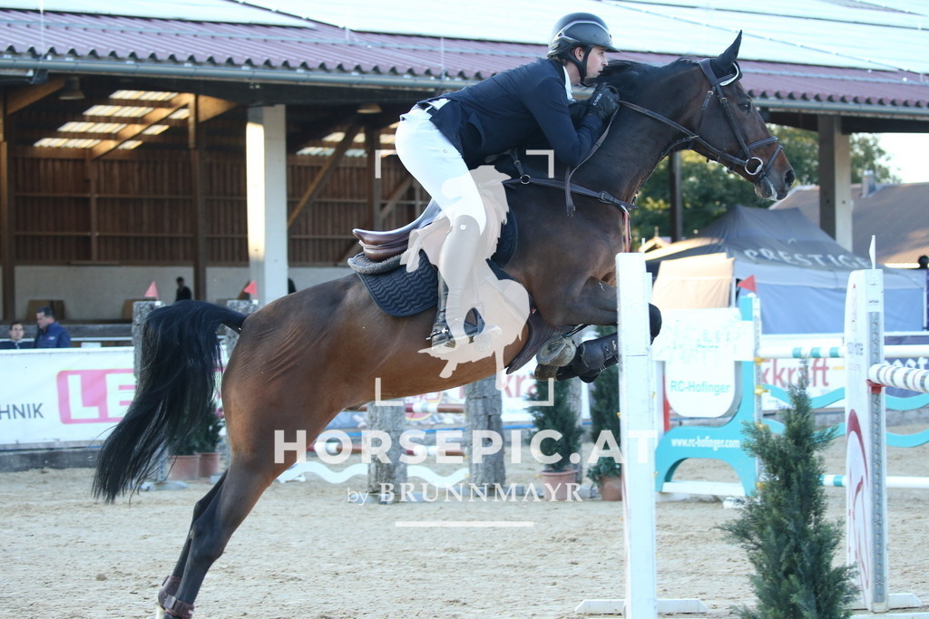 DL2Q4587 | Willkommen bei Brunnmayr - Design & Fotografie – Ihrem Spezialisten für Reitturniere und Pferdeveranstaltungen in Oberösterreich, Salzburg und Bayern! Seit über 17 Jahren sind wir leidenschaftlich dabei.