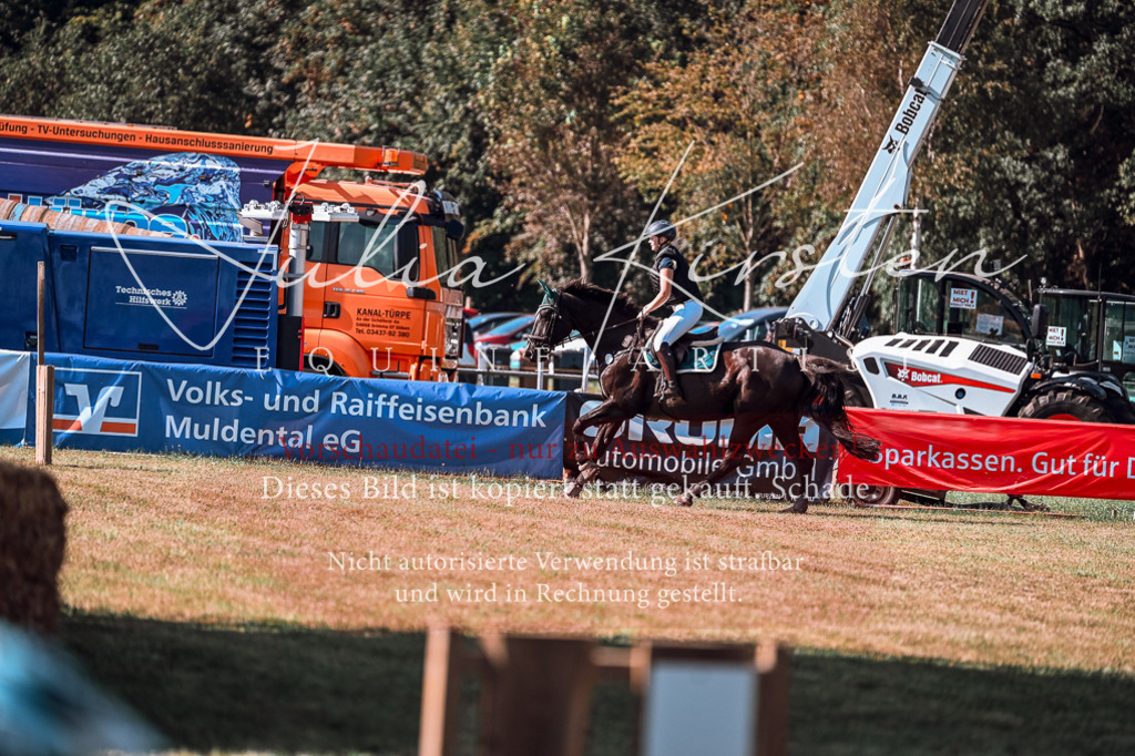 DSC_0893 | Pferde- und Turnierfotografie in Westsachsen. Pferdeportraits, Auftragszeichnungen und intuitive Kunst.