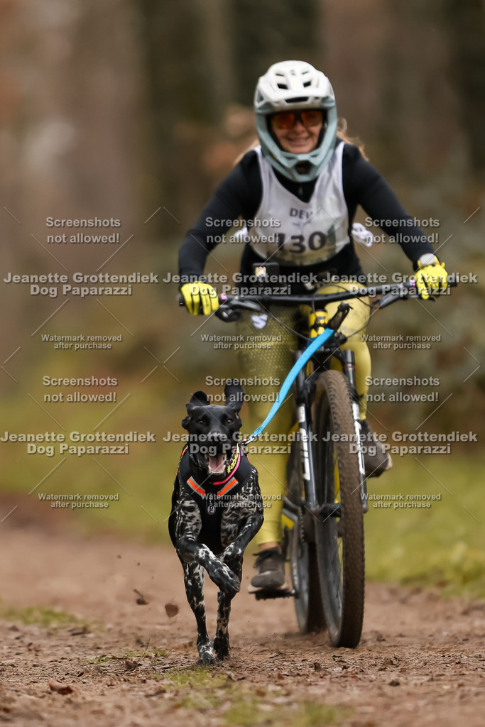 Dog Paparazzi - Speedhunter Mannheim  2025-365 | Dog Paparazzi Jeanette Grottendiek Fotografie & Videografie
