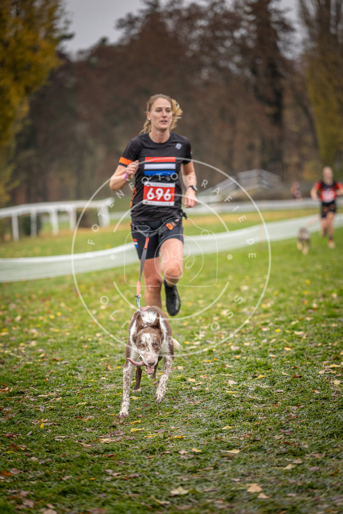CaniXpix_DV3A9264 | Hundefotografie, Tierfotograf, Pfotenfotografie, Fotoshooting Hund, Hunde Portrait, Hundesport, Hundeportraits, Heideshooting, Hunde, Sportfotograf, Hundefotograf, Turnierhundsport, THS,  - Realisiert mit Pictrs.com