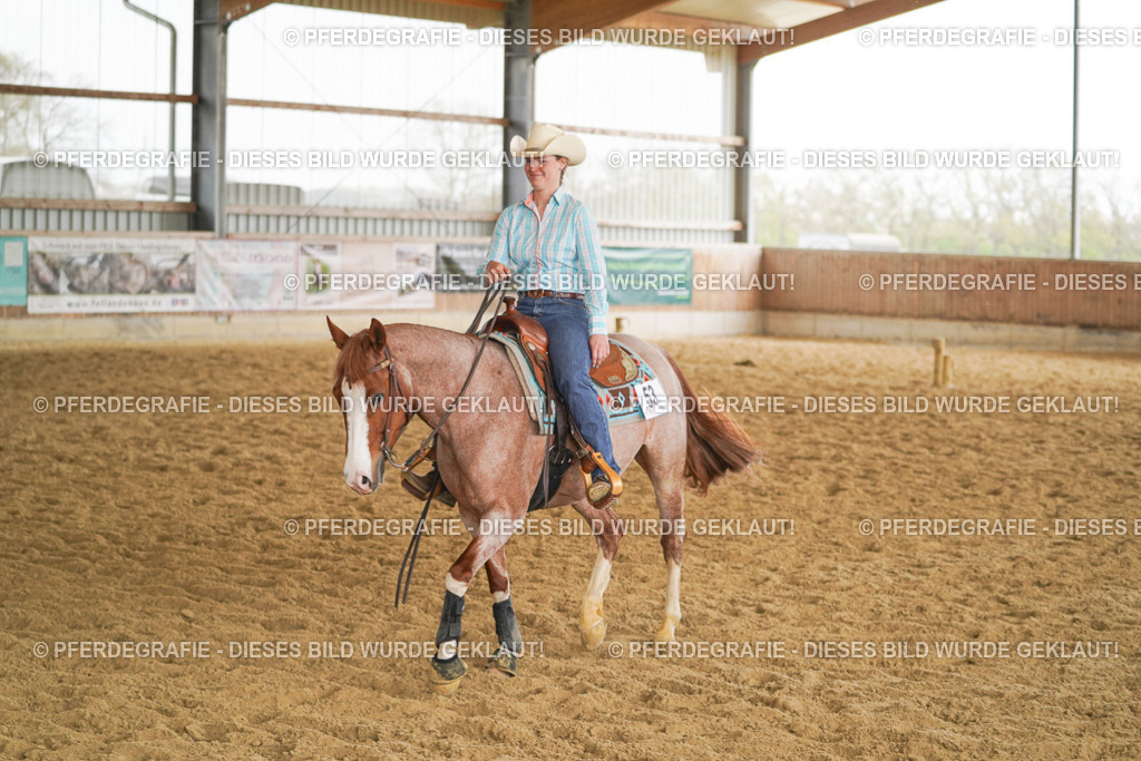 DSC05679 | Pferdegrafie