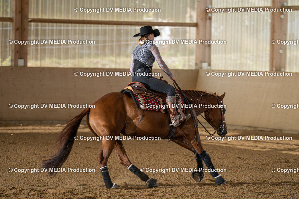 LAU01772 | dv-media-shop - Realisiert mit Pictrs.com