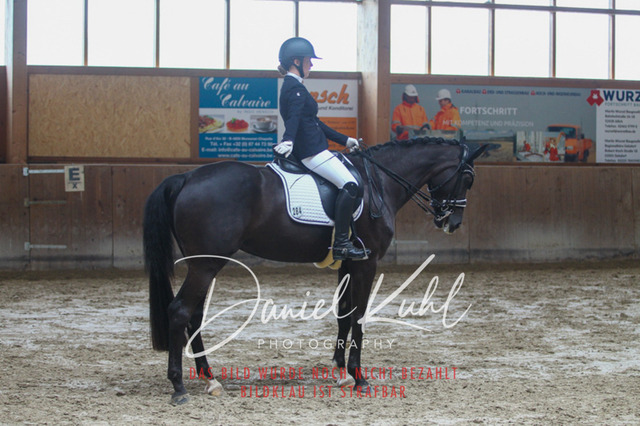 DKP44788 | Turniersportfotografie; Pferdefotografie; Dressurfotografie