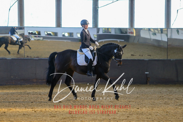 IMG_3182 | Turniersportfotografie; Pferdefotografie; Dressurfotografie