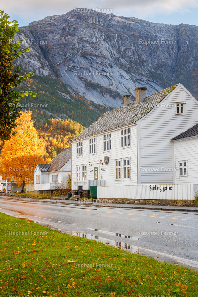 Herbstfarben in Eidfjord – Norwegen pur | Aufgenommen in Eidfjord, Norwegen, an einem goldenen Oktobertag. Die weißen Holzhäuser heben sich kontrastreich vom dunklen Felsmassiv im Hintergrund ab, während das herbstlich gefärbte Laub für Wärme und Tiefe sorgt. Eine Szene, die typisch norwegische Architektur mit eindrucksvoller Natur vereint.