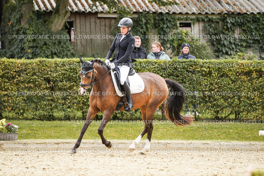 DSC01106 | Pferdegrafie