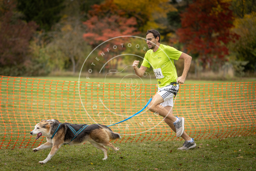 Pfotenfotografie_DV3A4400 | Hundefotografie, Tierfotograf, Pfotenfotografie, Fotoshooting Hund, Hunde Portrait, Hundesport, Hundeportraits, Heideshooting, Hunde, Sportfotograf, Hundefotograf, Turnierhundsport, THS,  - Realisiert mit Pictrs.com