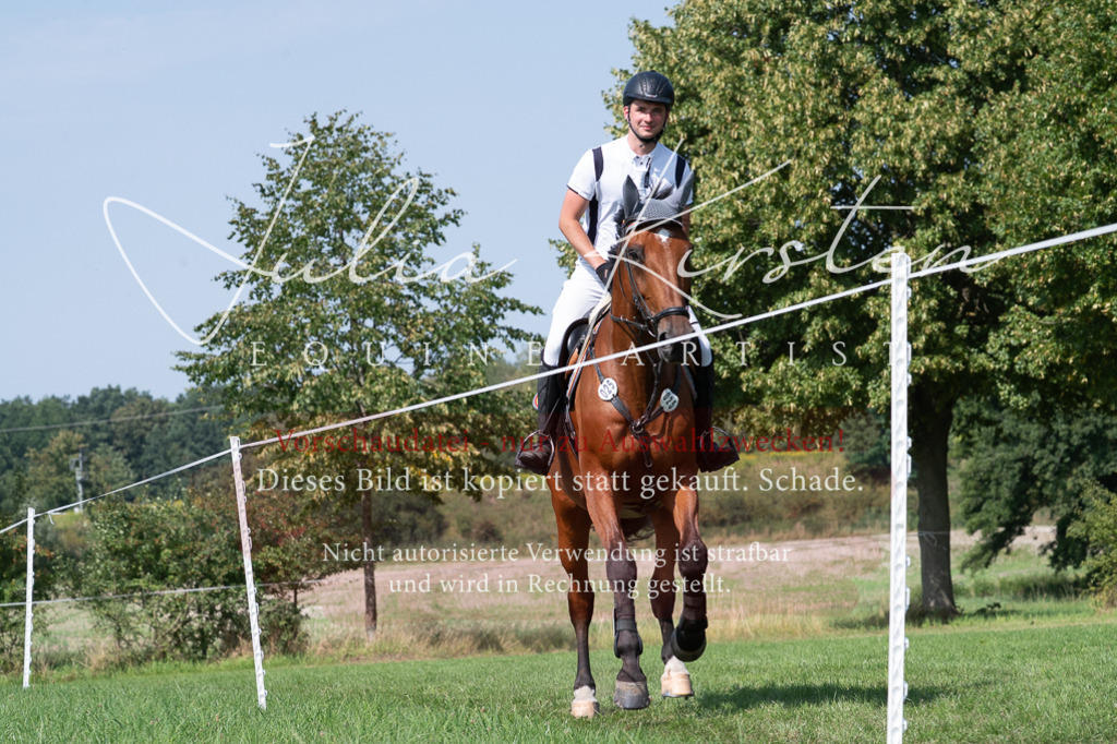 DSC_0819 | Pferde- und Turnierfotografie in Westsachsen. Pferdeportraits, Auftragszeichnungen und intuitive Kunst.