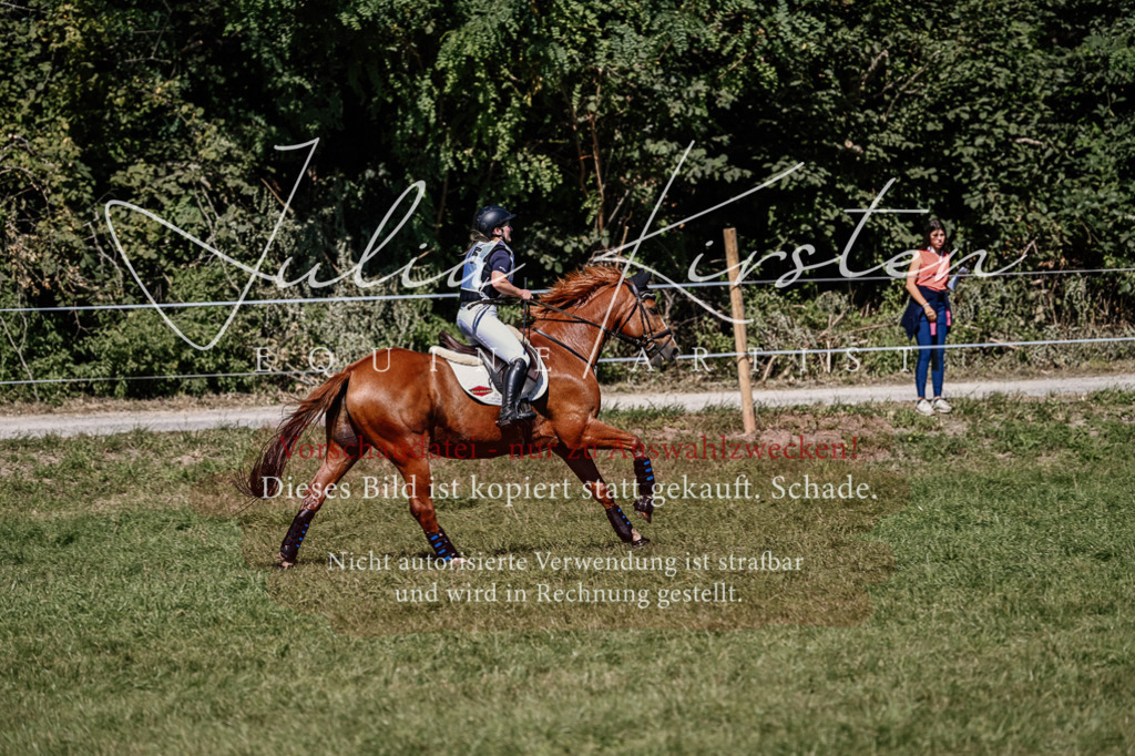 DSC_1910 | Pferde- und Turnierfotografie in Westsachsen. Pferdeportraits, Auftragszeichnungen und intuitive Kunst.