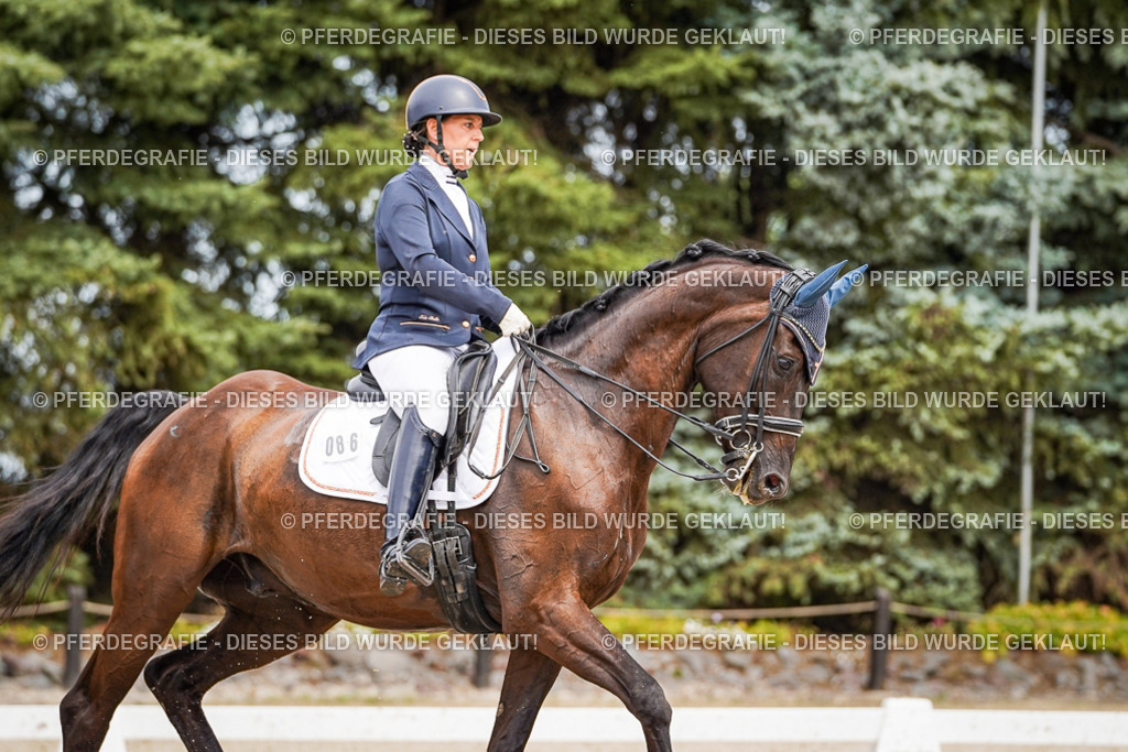 DSC05377 | Pferdegrafie