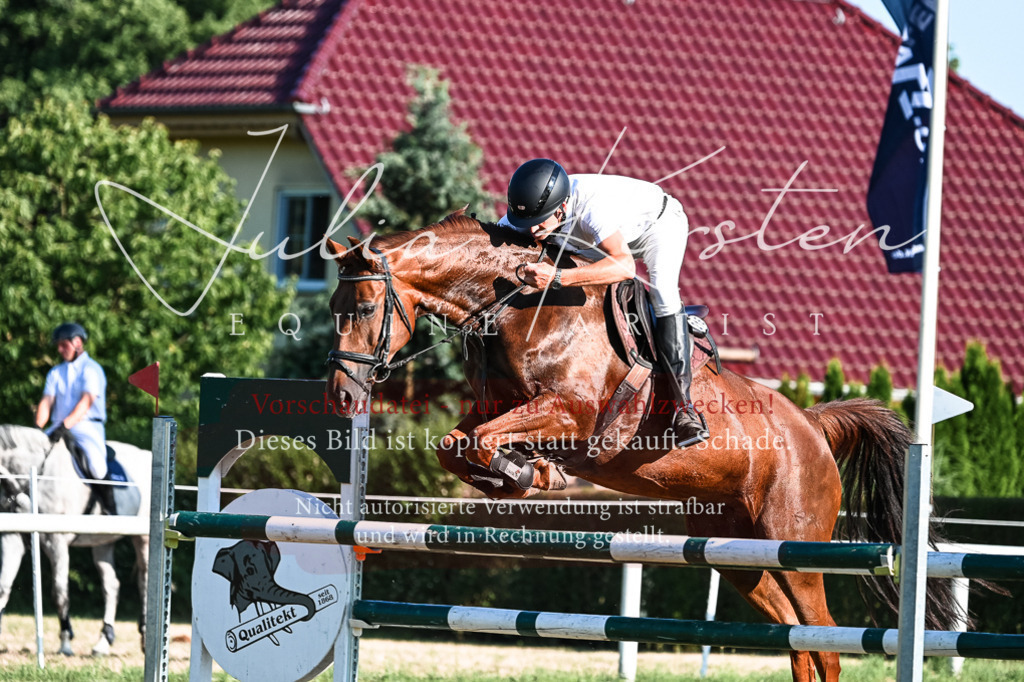 DSC_2742 | Pferde- und Turnierfotografie in Westsachsen. Pferdeportraits, Auftragszeichnungen und intuitive Kunst.