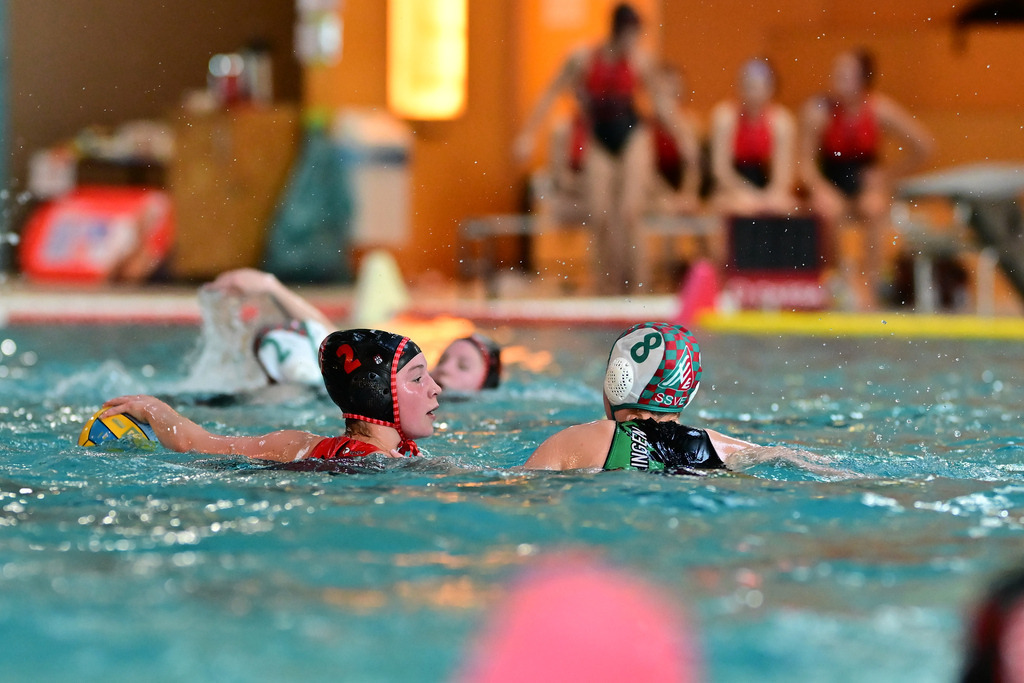 Wasserball I Juniorinnen I Saison 2024-2025 I DSV-Nachwuchscup U16 I SSV Esslingen - Eimsbütteler TV | Der Sportfotograf. - Realisiert mit Pictrs.com