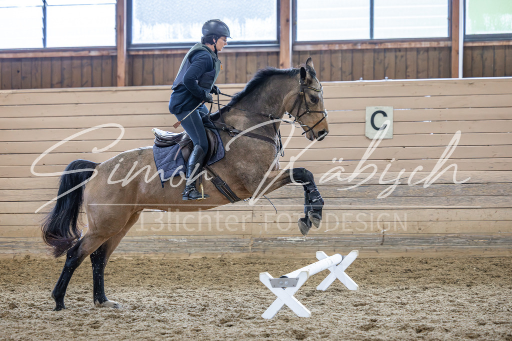 20260222-_3LI1868 | Tierfotografie Pferde, Hunde, Katzen, Haustiere.
Turnierfotografie Reitturniere, Reiten, Springreiten, Dressur in Hanau, dem Main-Kinzig-Kreis und dem Rhein-Main- Gebiet um Frankfurt